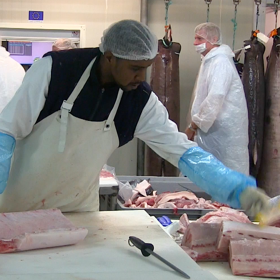 Ludovic Boyer : « Il y a une autre alternative à l’équarrissage »