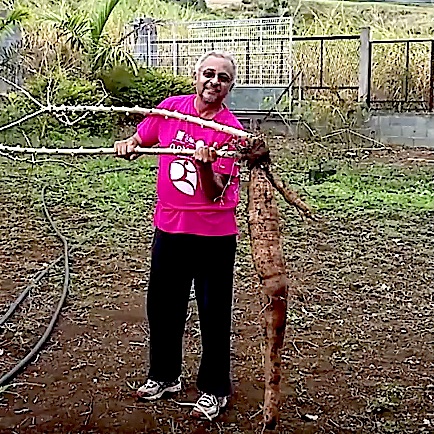 Le Jardin du cœur, l'amour à l'état naturel